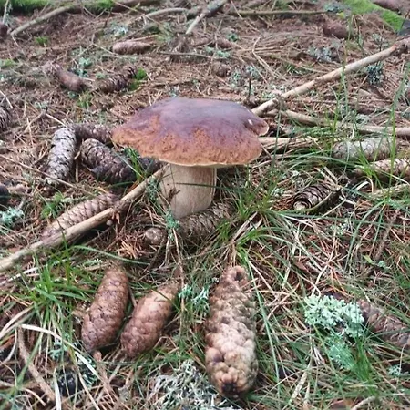 Feriehus Cantagrel Saint-Alban-sur-Limagnole